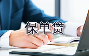 厦门保单贷